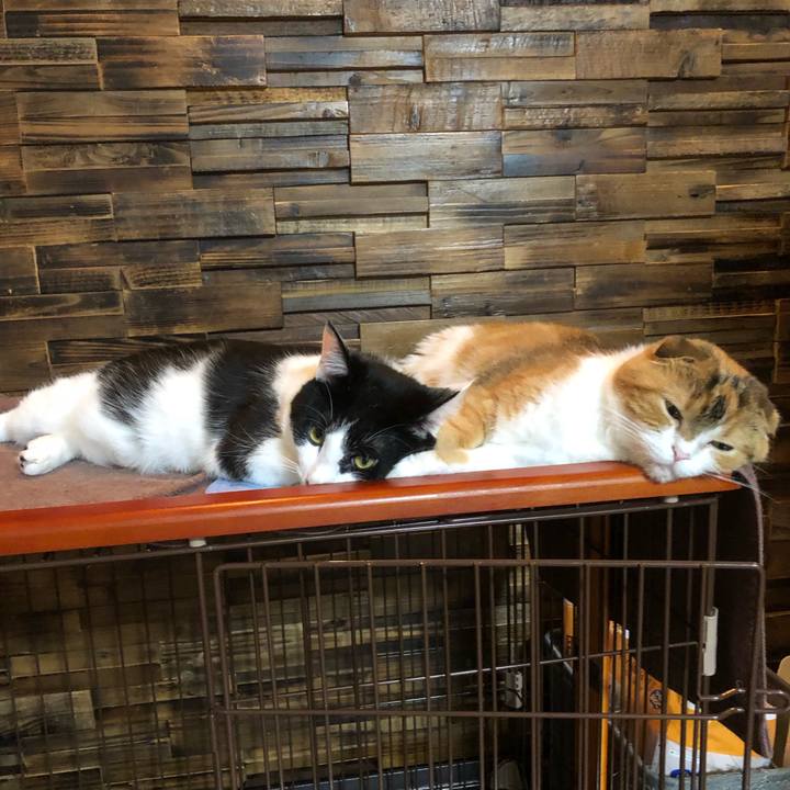 0e2428d1 7b5a 4db8 9c27 c96aac278ab6 1626102359489