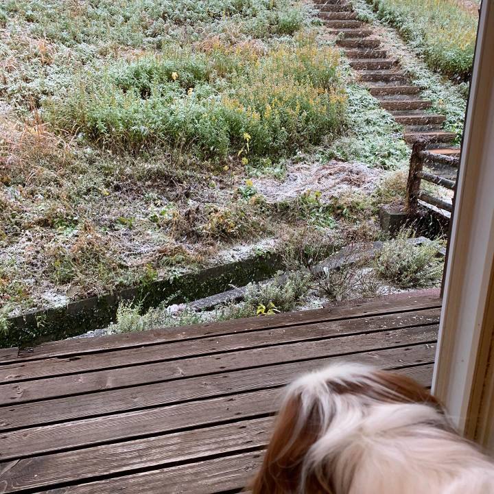 0e242ec4 8550 4fc9 bca5 d324b85a1750 1607899878423