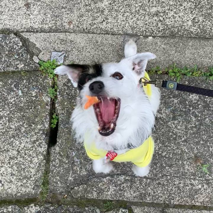 0e246c8e a9eb 46df 8317 22d78f5608d0 1686011105089