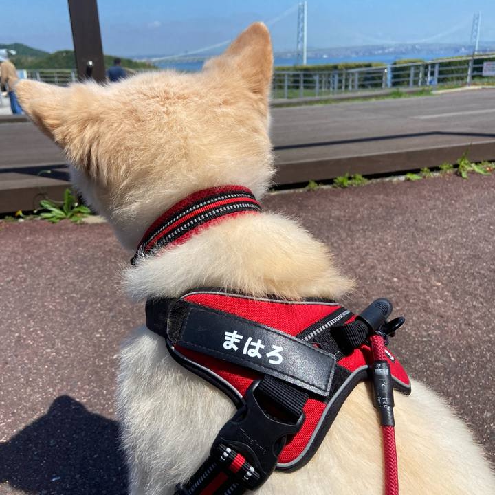 0e247d19 92ba 48e6 8bb0 c066437c03de 1716258251310