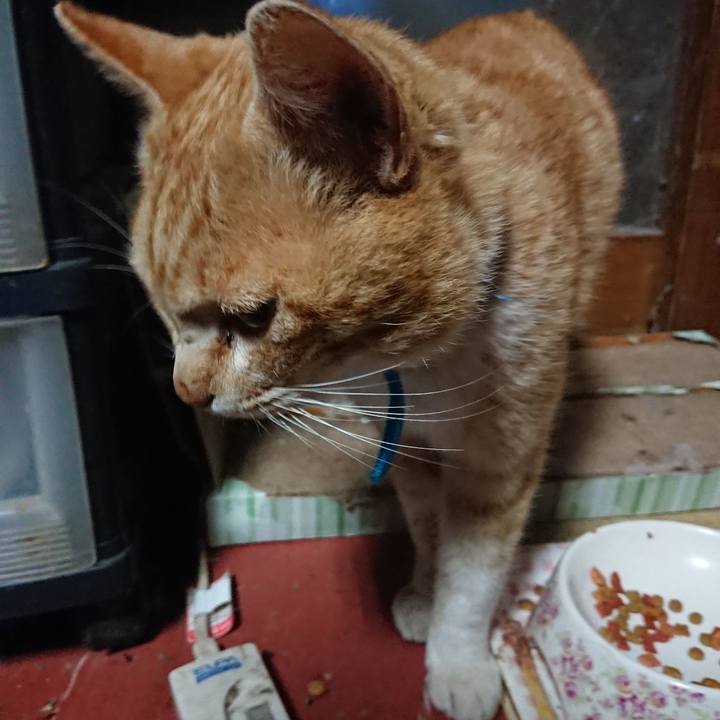 0e2485e6 358b 47ee af44 b8e90a498425 1555531835709