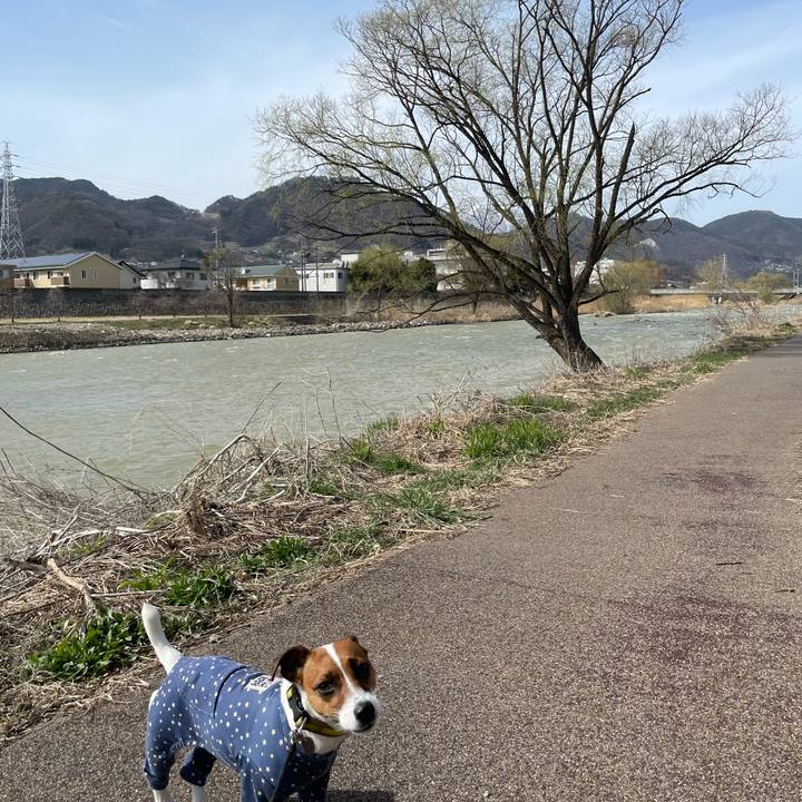 0e24b777 e30c 4327 b889 384b20adab8d 1648624294927