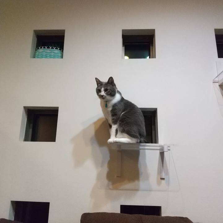 0e24cf96 1799 4b82 935f 3e641f8b9d3e 1640259541697