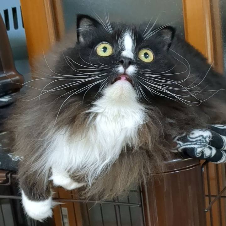 0e24db3f 9bab 4eb5 9de6 3eb776e9e003 1666431762545