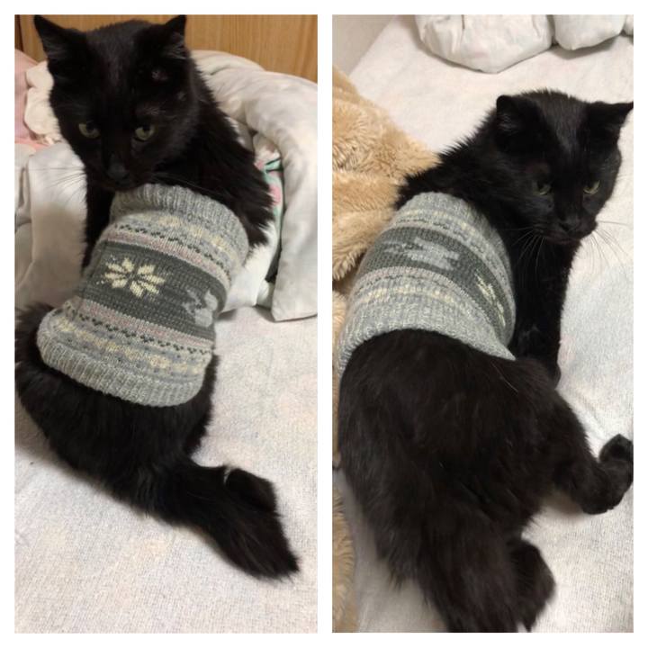 0e24fa9c 2501 4e49 ac4d 79720deb6022 1603613577502