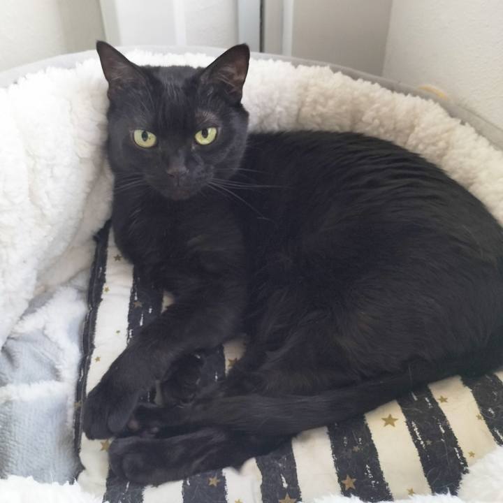 0e24febc 08de 4d13 939e 2d6aacbb84d9 1710318958355