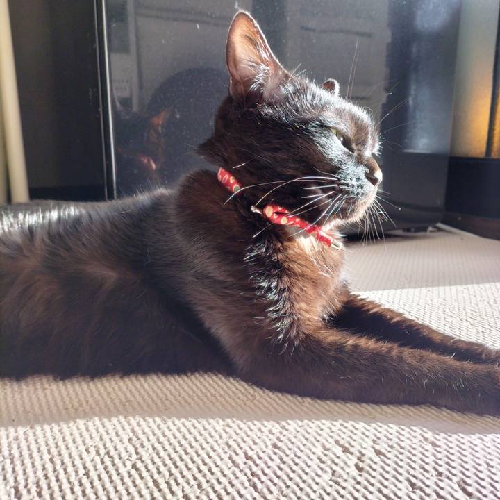 0e254287 819b 480c a98a 950b5eba5964 1679265602197