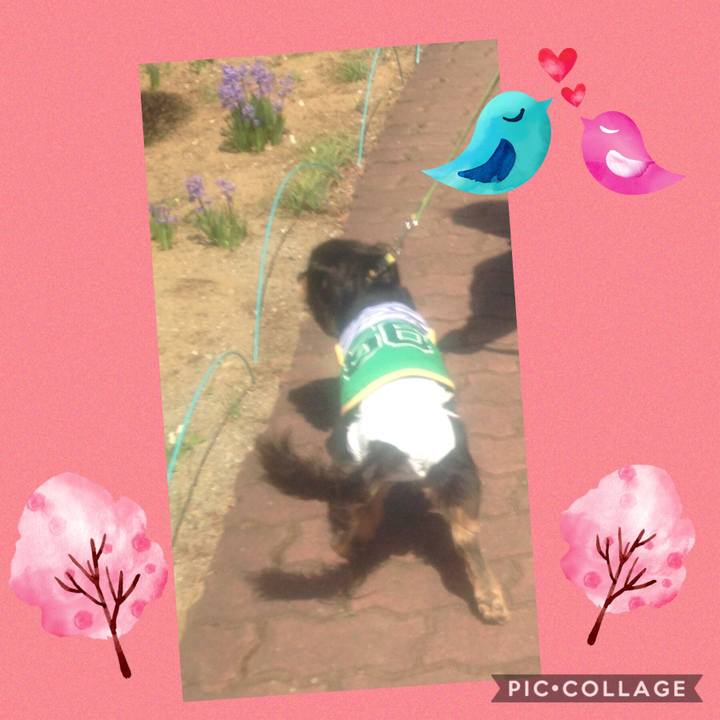 0e2549fd fcb0 4308 a278 733a7c9dade5 1553840737966