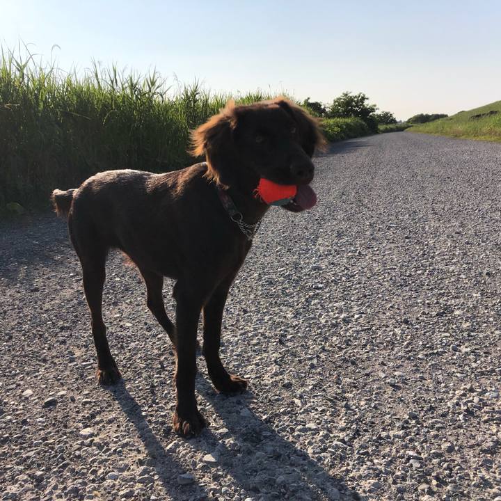 0e255ef1 debb 4b11 a422 0f33fc05ac96 1560377585458