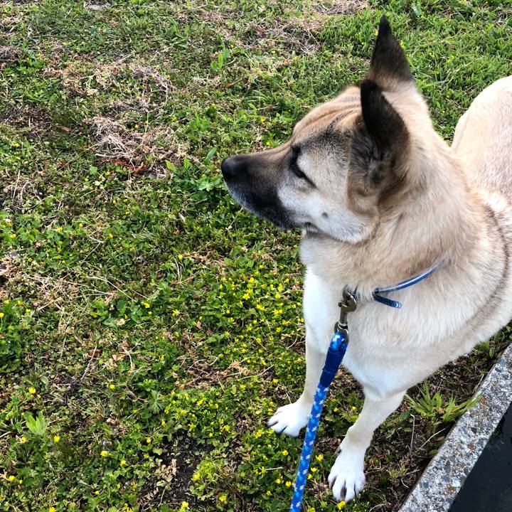 0e257b0d bd32 47de bfda c65f167f3e26 1554468271071