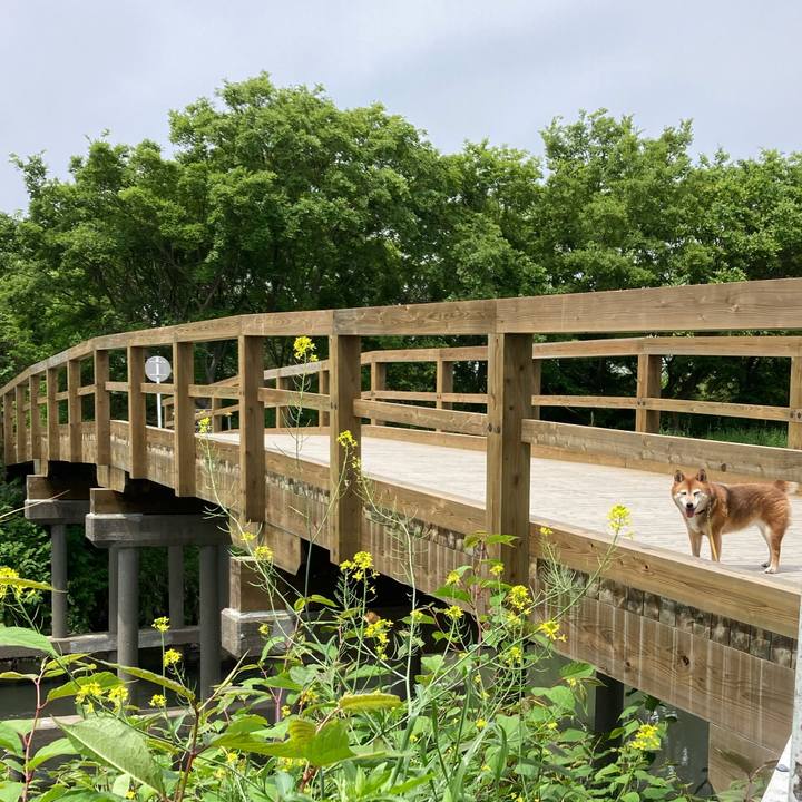 0e25ee9e 062a 427b 94c8 d85406752b69 1651808808203