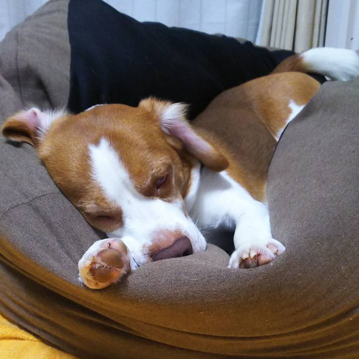 0e25f46f 7f7c 427a bbbc 16a67e9b5d65 1594653222590