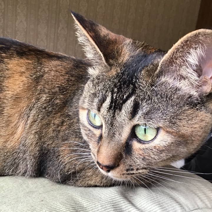 0e26027a 3345 4df2 9177 d3a462d0a341 1655715604534