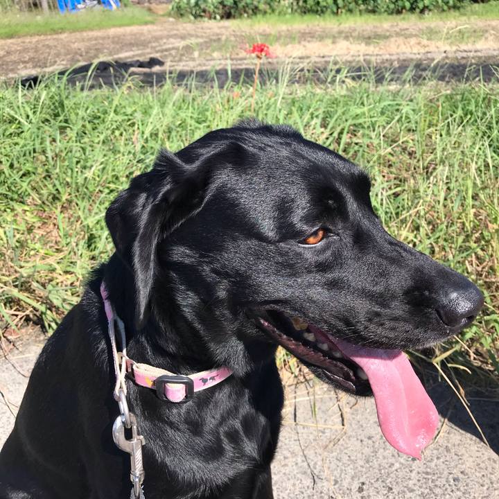 0e266a24 ba89 409b 9caa e5d3abdd0080 1569228396620