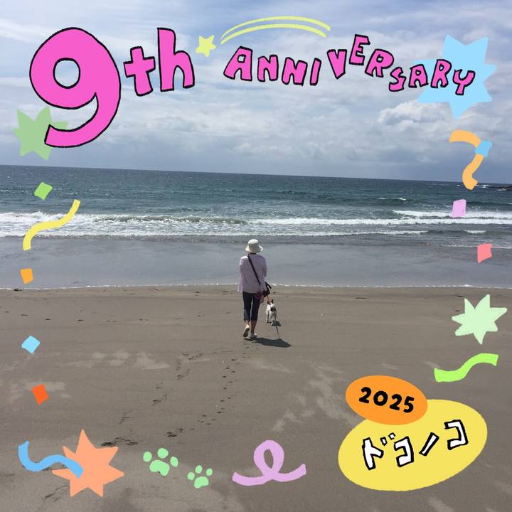 0e268908 ca3d 4848 b7f8 90064e868219 1749099653395