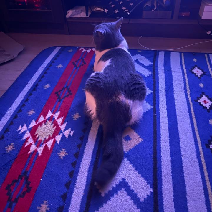 0e26f214 5170 4670 8b49 fe214c1e13aa 1660228048441