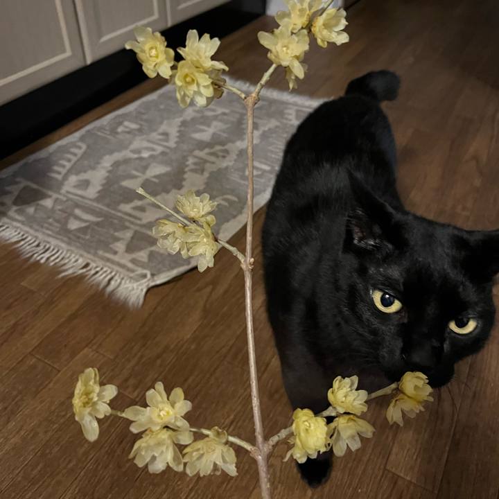 0e2716e1 9f29 461b 83ca 11500f8274e3 1769948079815