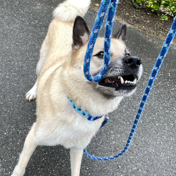 0e278f20 59f2 40b5 94cd cce324c40f1e 1687439392185