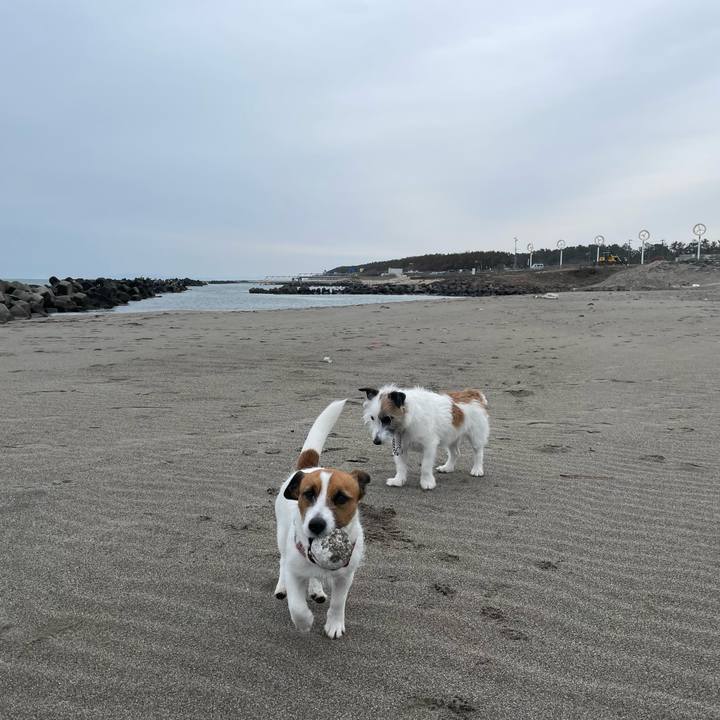 0e27a727 10e4 437d a099 ccf1d40e68f1 1647906400110