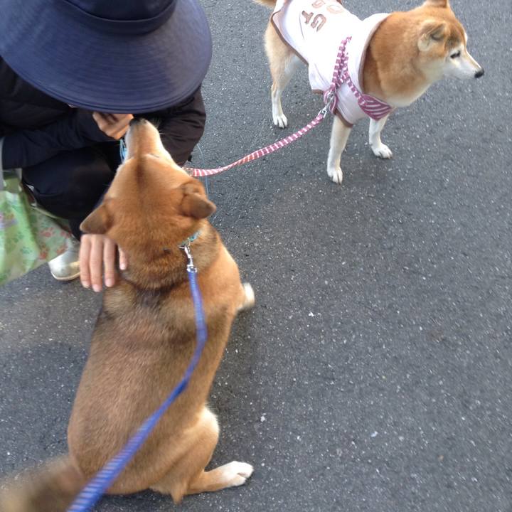 0e27cde5 8260 486f 9f57 7c81bb37203b 1542419396496