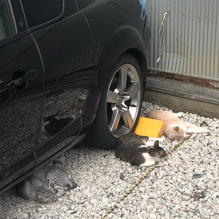 0e283f23 777f 4911 9501 27d77a036dc4 1572728020781