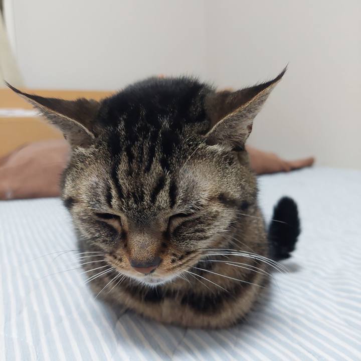 0e2846f2 8677 40d2 8850 4c6c6268b399 1636925189913