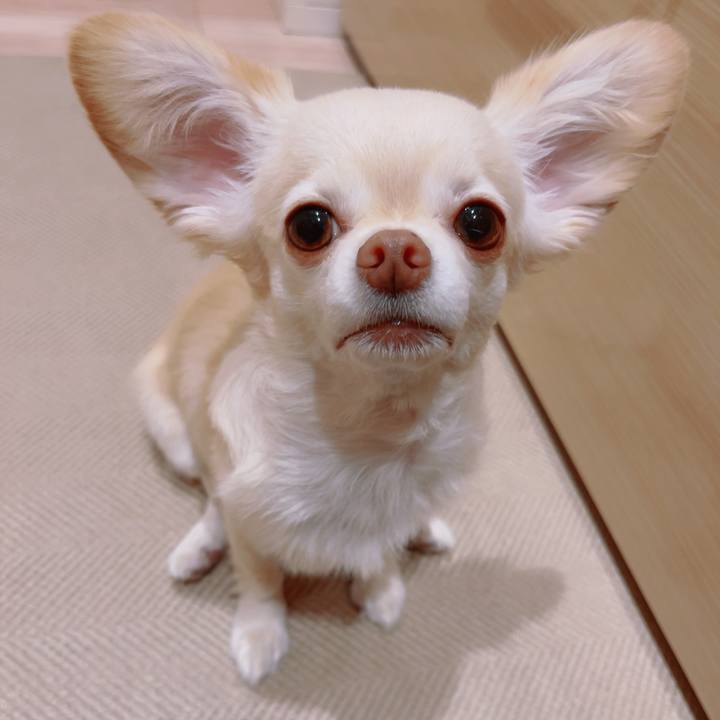 0e284dca ad1c 49ab 9fe5 2afa336a8448 1758711164873