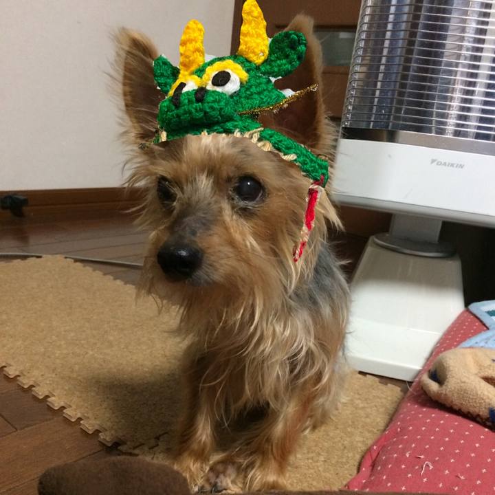 0e285819 7f1d 413f b998 54547628e71f 1704844453695