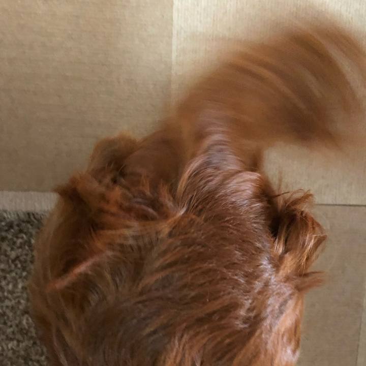 0e286841 212e 4782 9e12 5f2aeb9ad411 1552796977419