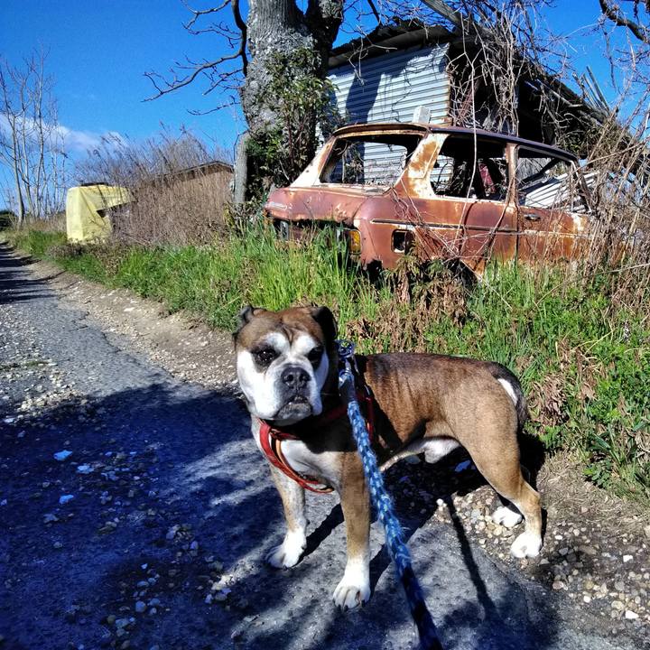 0e28af5a f6c6 4ff3 b5cd 328b5001b5a0 1552018152239