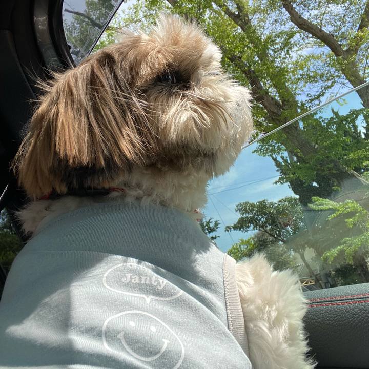 0e28ff89 1613 48ea a96d 308eba55fc6b 1619228227799