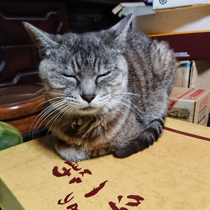 0e290abb 2224 4478 8bd9 e49dd581ba8b 1569270578048