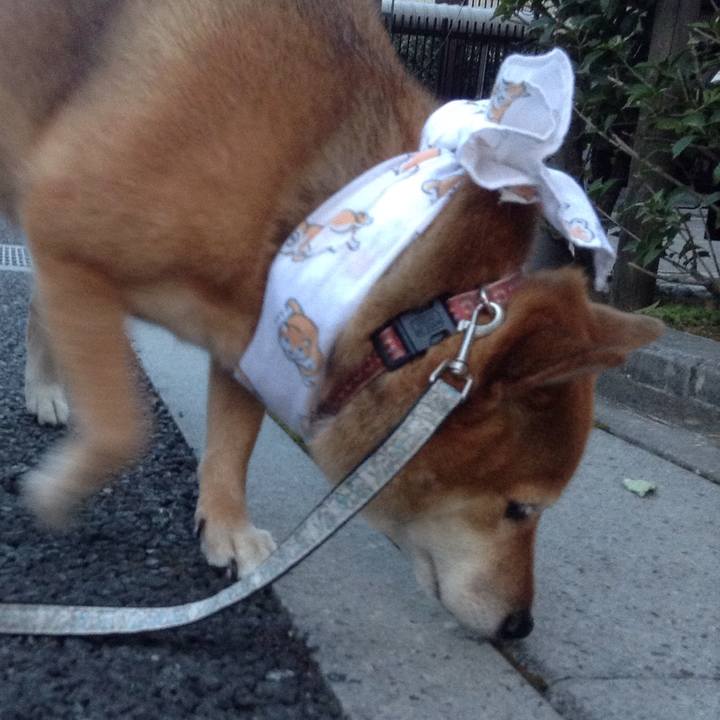 0e291be4 be00 460b a072 14340c63b215 1533121854078