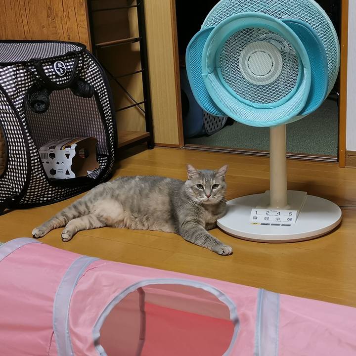 0e2929cd 7bdb 4d1b 9172 6d84331db8ed 1649773334827