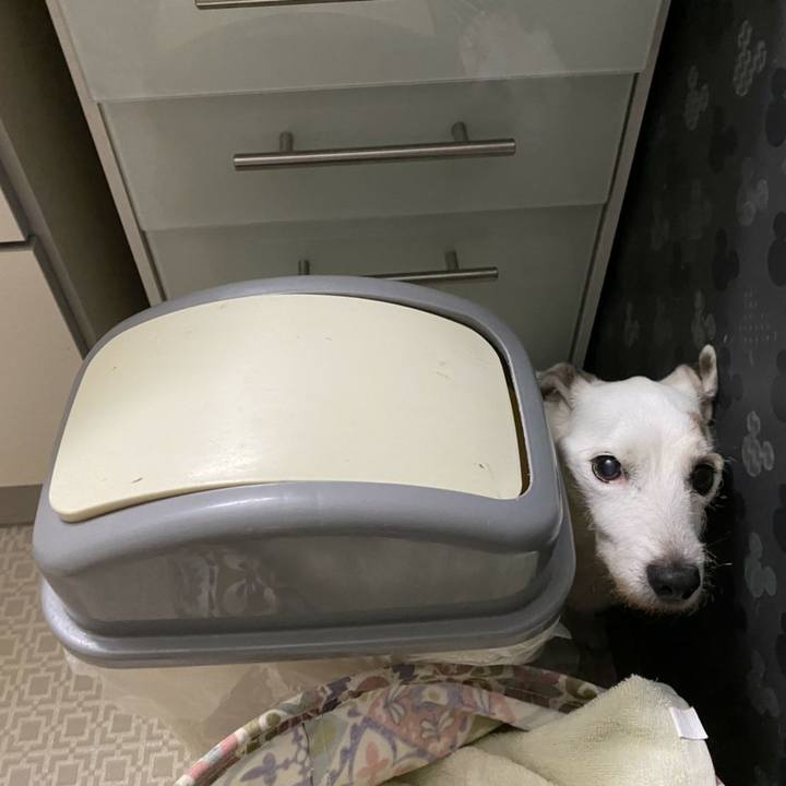 0e292cab 1a48 472d 9efc 243882bfea3e 1595805348424