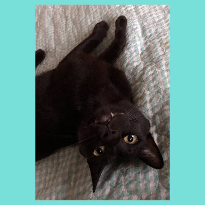 0e294dd6 3018 4d82 b69a 81df195e7ac2 1691401585785