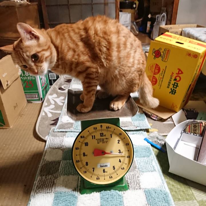 0e294df8 74ef 4b9b 982a b763d17479cb 1637921354479