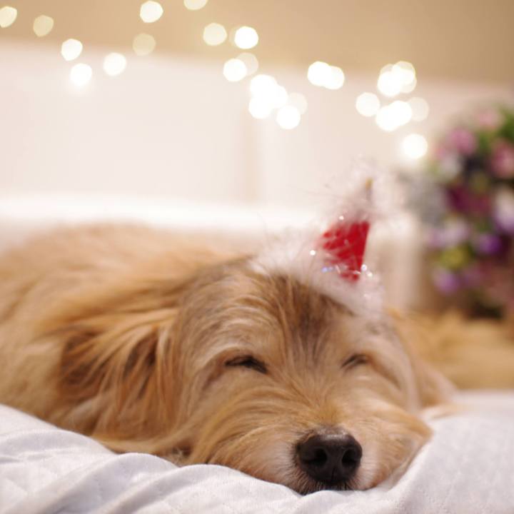 0e29570d a963 48a1 81ba 2ab9b3846d87 1640507808822