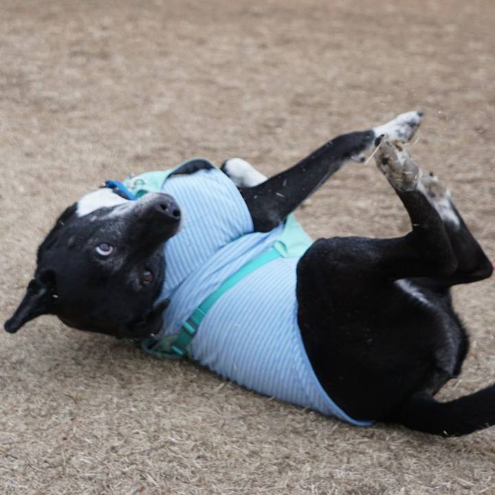 0e2959a7 a161 4191 b4fd 74daaa312905 1771549767140