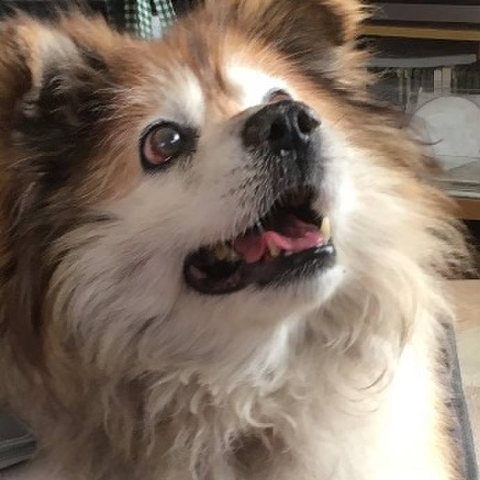 0e2987c1 78af 430b ad9a 8cd74d43e185 1570732481832