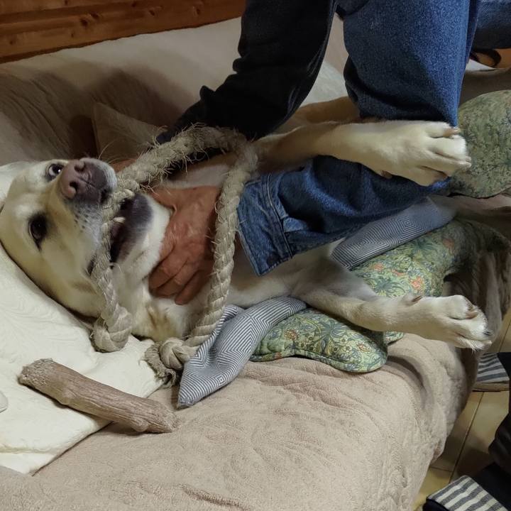 0e29b20f d964 4d75 84ad 72f4af8e5c6e 1672294106210