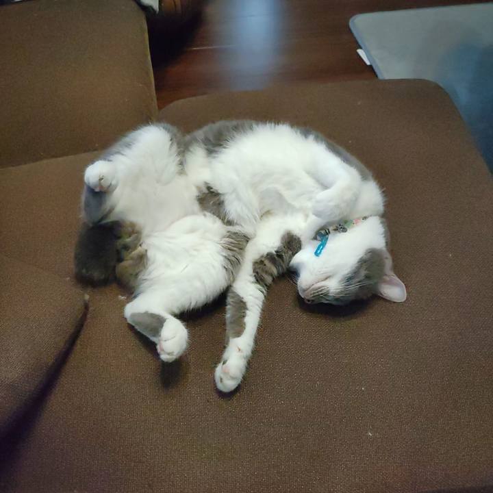 0e29bcfe c36b 4674 a87a 7c836af0e993 1721380085260