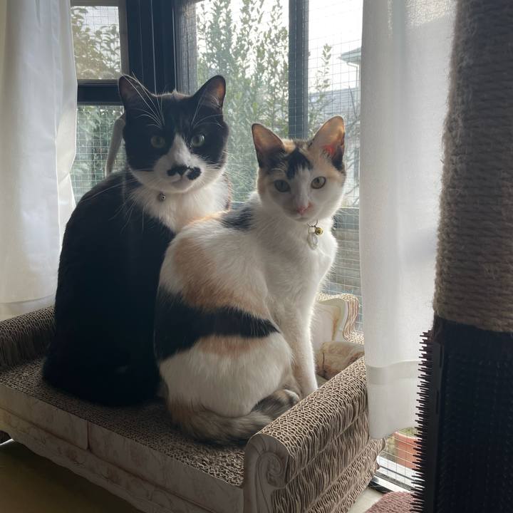 0e29ca2f 398e 431b 876a eede5095bed0 1676760345556