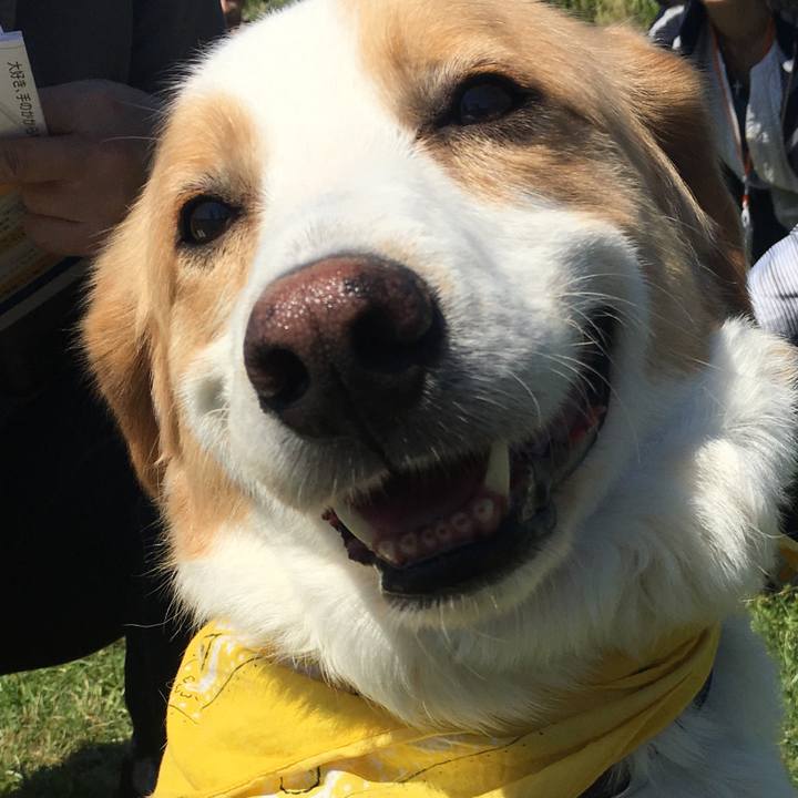 0e29cfa4 9e37 49a1 9018 4e313dfd51ab 1527046171332