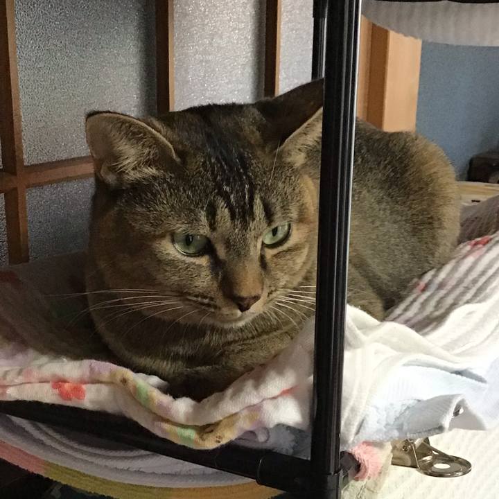 0e29e8c0 5b91 4046 970b c46e67bc1b20 1636012781207