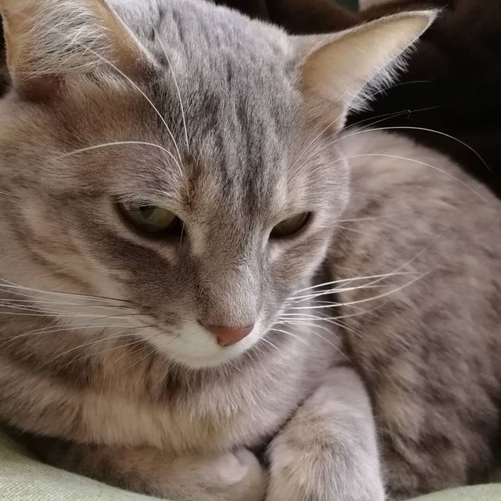 0e2a06be 6e4a 4e58 8b8c a228a158c4a3 1515043310296