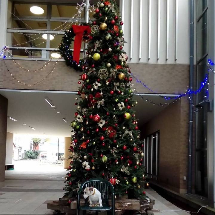 0e2a294e 3e81 483c a2f5 4014b941d0a4 1545642168341