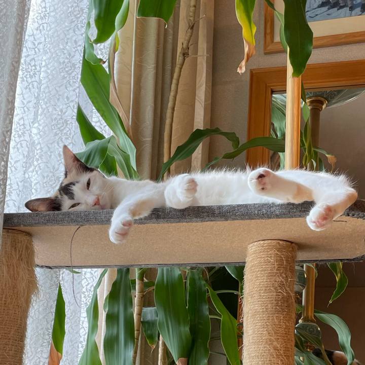 0e2a5a57 8062 4dfa ae71 cea792ba836a 1759106186143