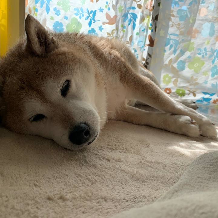 0e2a5d8b 9de7 4b6f 8463 82094f6ff887 1584768907651