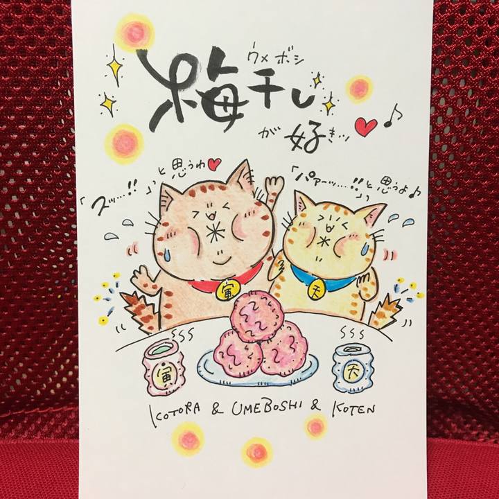 0e2a5f13 8548 4932 b2ff 3dd6a6163c32 1574357971350